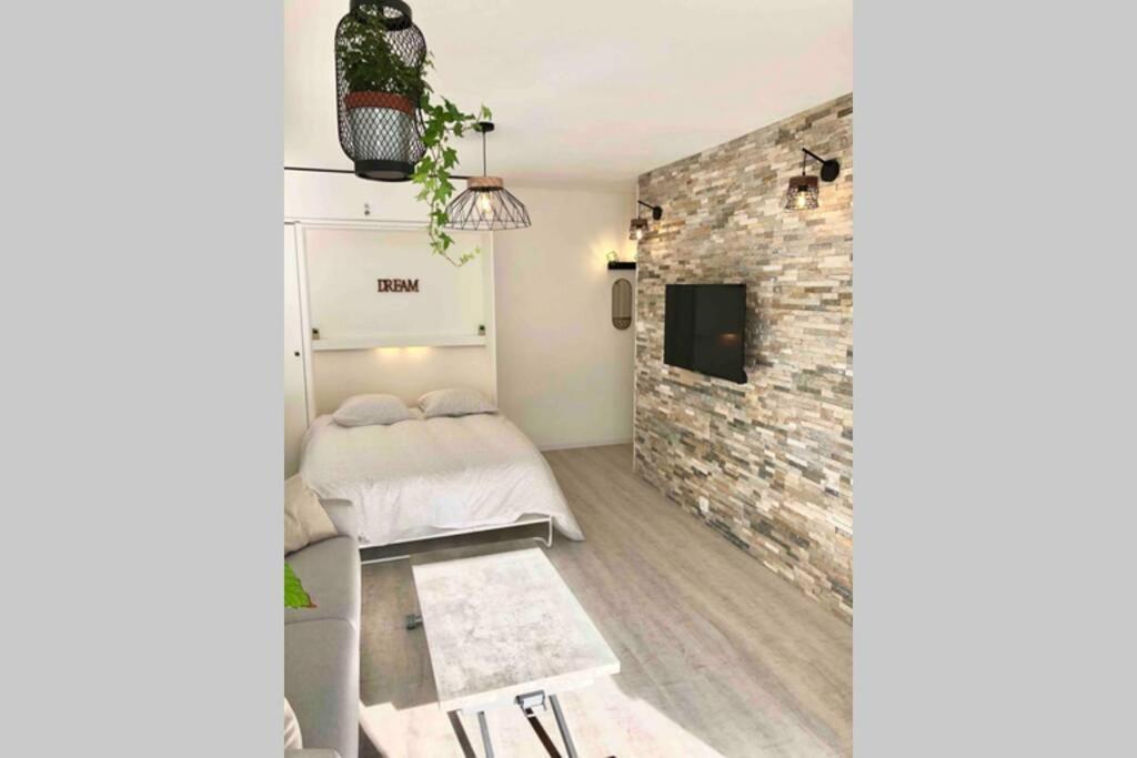 Grand Studio Cabine 30 M² Centre Ville, Refait A Neuf Pour Vous ! Climatise ラ・グランド・モット エクステリア 写真