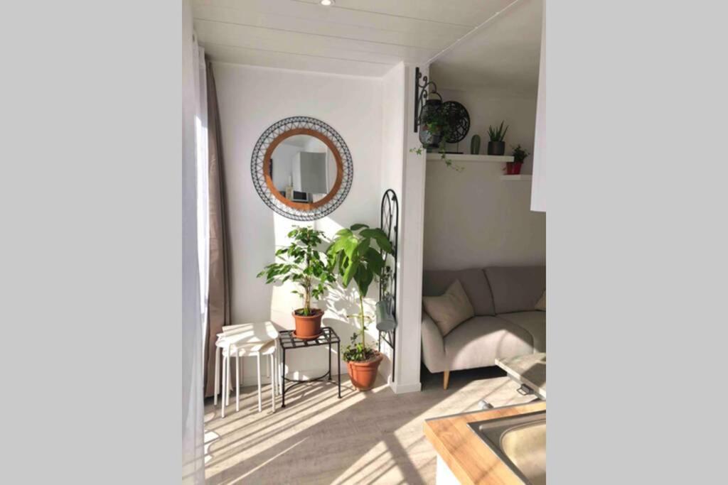 Grand Studio Cabine 30 M² Centre Ville, Refait A Neuf Pour Vous ! Climatise ラ・グランド・モット エクステリア 写真